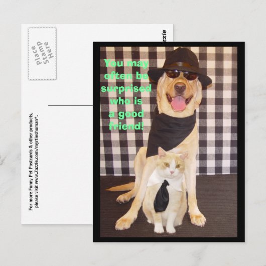 小さな仲間 ポストカード (正面/裏面)