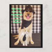 小さな仲間 ポストカード (正面)