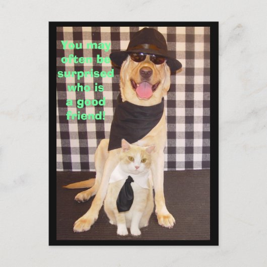 小さな仲間 ポストカード (正面)