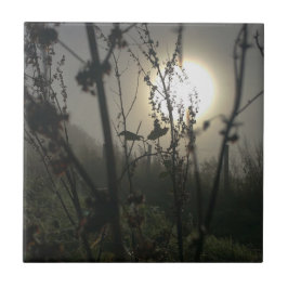 小さな写真で大きなプリント タイル