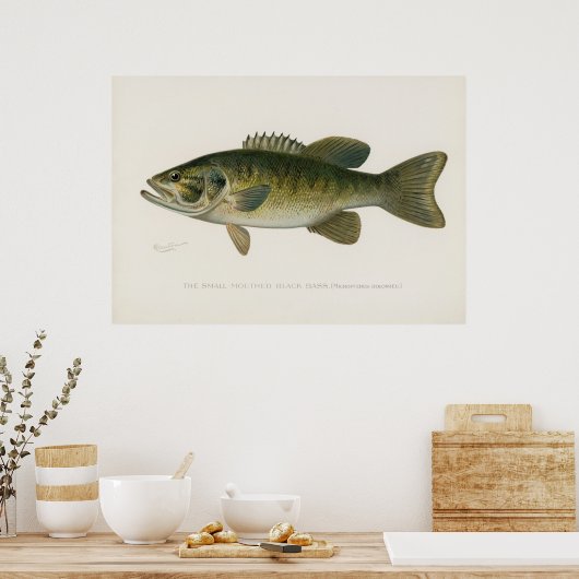 小さな口の黒いバスフィッシュヴィンテージアート ポスター (キッチン)