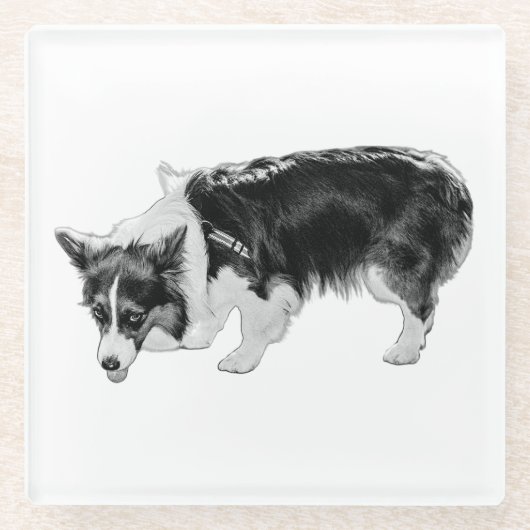 小さな味覚試験 ガラスコースター (正面)