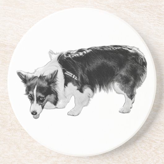 小さな味覚試験 コースター (正面)