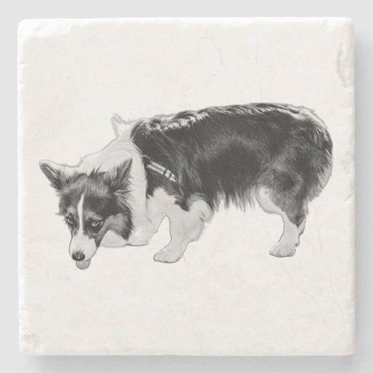 小さな味覚試験 ストーンコースター (正面)