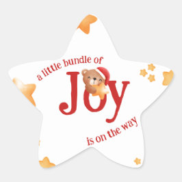 小さな喜びの束 星シール