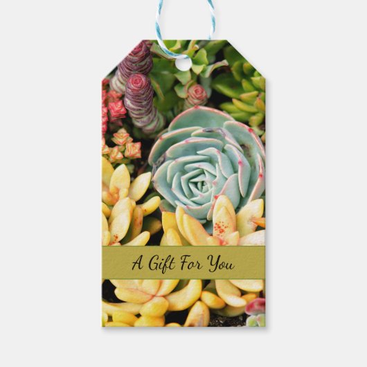 小さな多肉種パーソナライズされたギフトラベル ギフトタグ (正面)