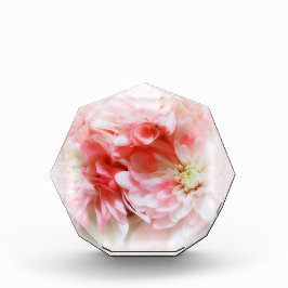 小さな夢を フォトブロック