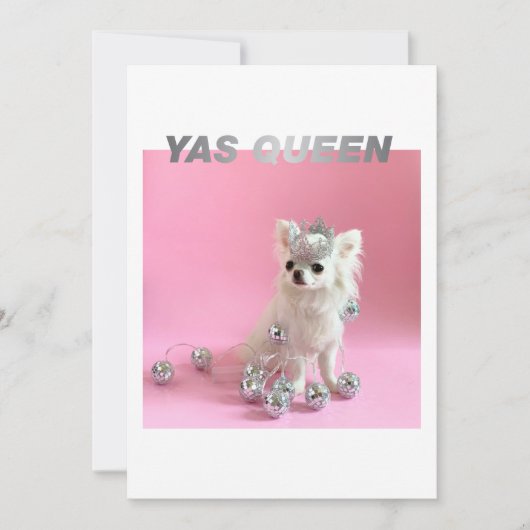 小さな大地を輝かせる |ドッグ・恋人おめでとう写真 カード (正面)