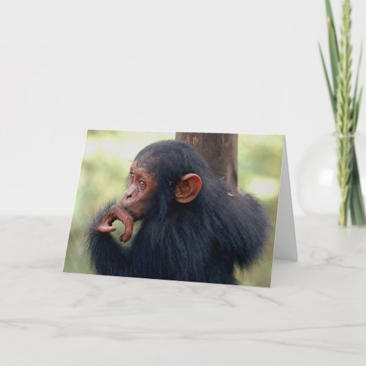 小さな女の子 カード (正面)