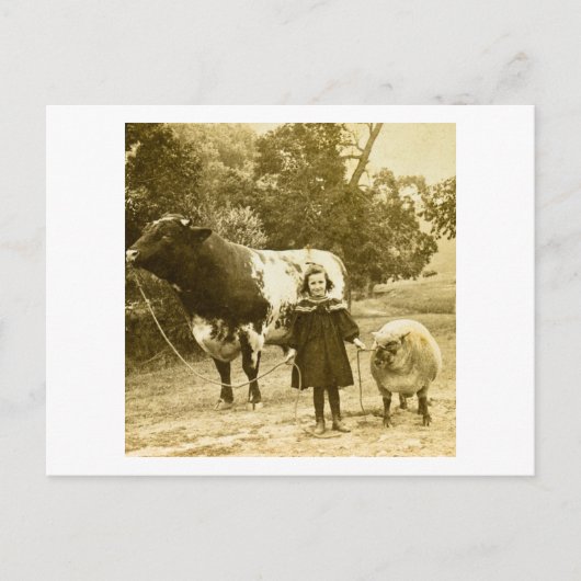 小さな子が連れて行く ポストカード (正面)