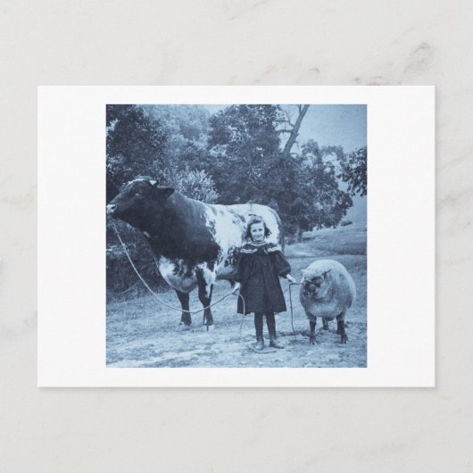 小さな子供が彼らをシアノタイプに導く – ヴィンテージ ポストカード (正面)