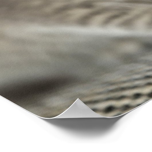 小さな子猫 ポスター (角)