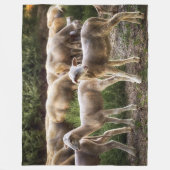 小さな子羊 フリースブランケット (正面)