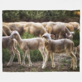 小さな子羊 フリースブランケット (正面(横))