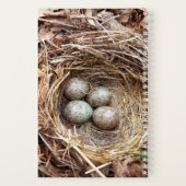 小さな宝物の鳥の巣の卵 ノートブック (裏面)
