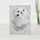 小さな宝物 カード (正面)