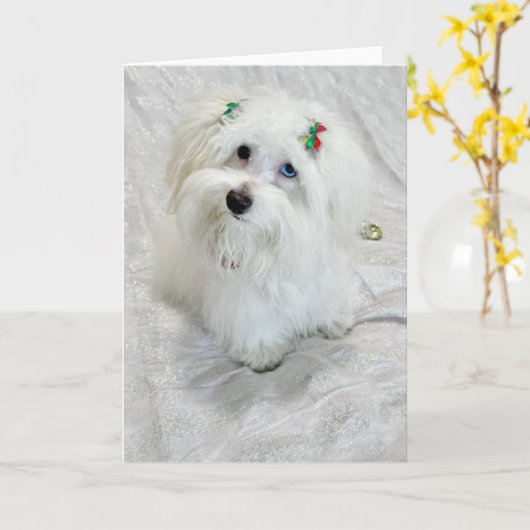 小さな宝物 カード (黄色い花)