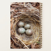 小さな宝物 鳥の巣 たまご ノートブック (裏面)