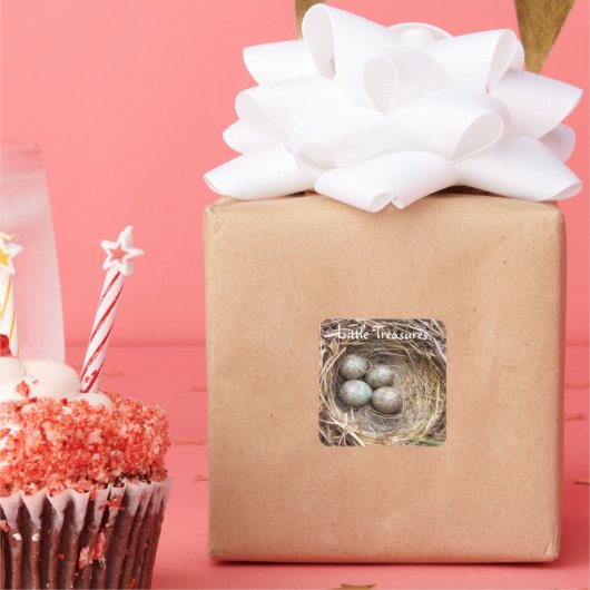 小さな宝鳥の巣エッグ写真 スクエアシール (パーティー)