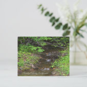 小さな小川… ポストカード (スタンド正面)