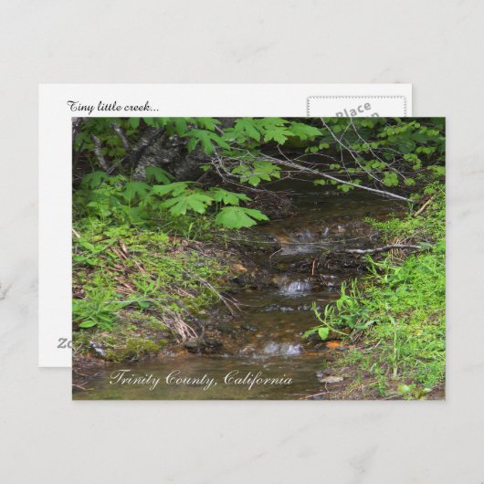 小さな小川… ポストカード (正面/裏面)