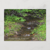 小さな小川… ポストカード (正面)