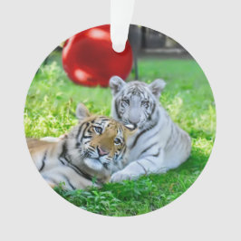 小さな少年たち –  オーナメント