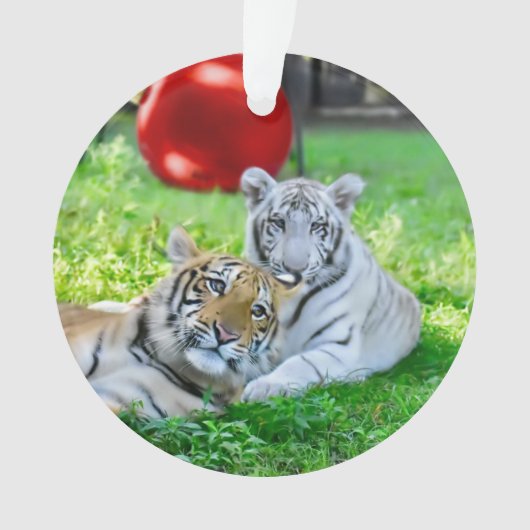 小さな少年たち – オーナメント (正面)