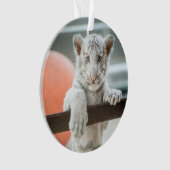 小さな少年たち – オーナメント (正面)