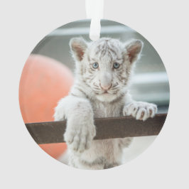 小さな少年たち –  オーナメント