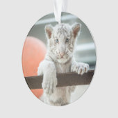 小さな少年たち – オーナメント (正面)