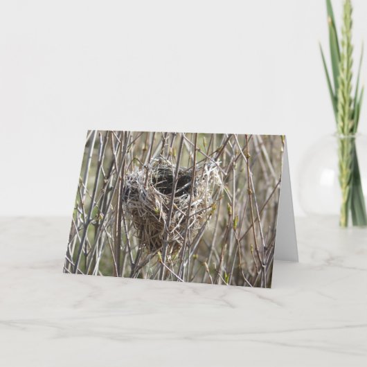 小さな巣 カード (正面)