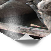 小さな平和 フォトプリント            (角)