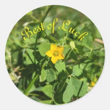 小さな幸運の花