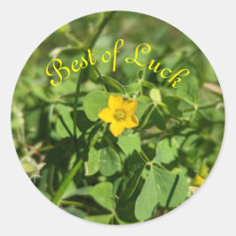 小さな幸運の花 ラウンドシール