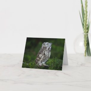 小さな悲鳴フクロウのノートカード カード