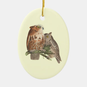 小さな悲鳴フクロウ(Bubo asio) セラミックオーナメント