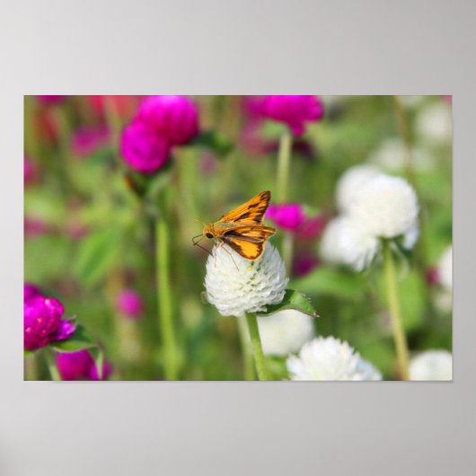 小さな手順1 ポスター (正面)