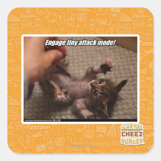 小さな攻撃モードに入れ! スクエアシール (正面)