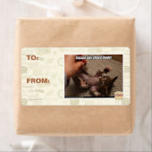 小さな攻撃モードに入れ！ ラベル (インサイチュ)