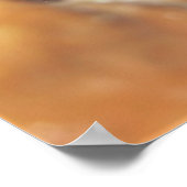 小さな斑点のあるモレー ポスター (角)