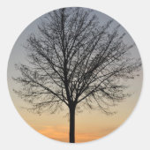 小さな木の日没の風景、ボームゾンネンターガン ラウンドシール (正面)