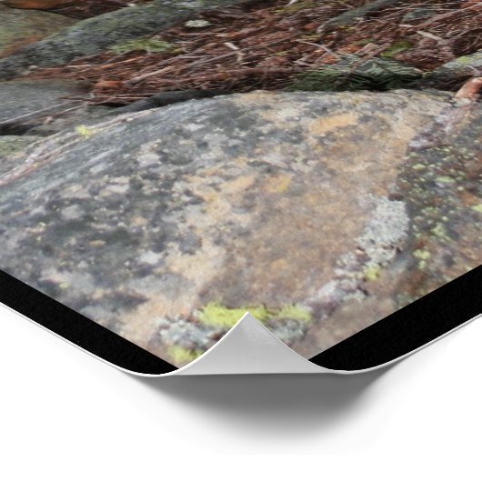 小さな木 ポスター (角)