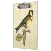 小さな枝に止まった黄色と緑の鳥 クリップボード (左)