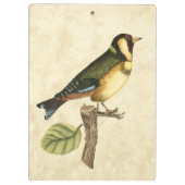 小さな枝に止まった黄色と緑の鳥 クリップボード (裏面)