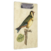 小さな枝に止まった黄色と緑の鳥 クリップボード (右)