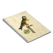 小さな枝に止まった黄色と緑の鳥 ノートブック (右側)