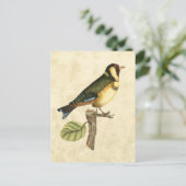 小さな枝に止まった黄色と緑の鳥 ポストカード (スタンド正面)