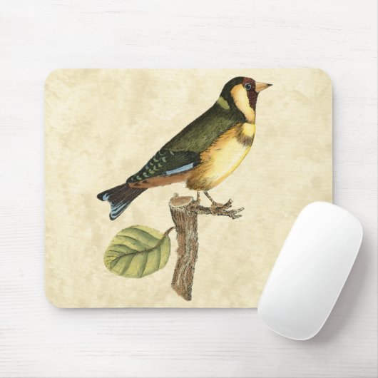 小さな枝に止まった黄色と緑の鳥 マウスパッド (マウス)