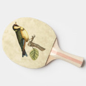 小さな枝に止まった黄色と緑の鳥 卓球ラケット (横)